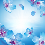 9bc5252c3afb927eda63e68e34207ed0