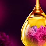 3494ec1fffd39a80f490fea2bba2ae6a