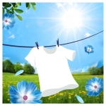 8a0882c33d4176e33e03e385ccb62736