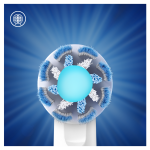 00e75cb24e8121c1e1f1d98008c5eb5a