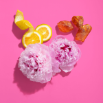 7d523af41d317c7587210e79ccf494fe