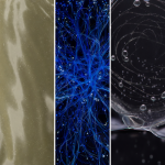 a093ec85c5a3e3e9f3a28da15f6800e5