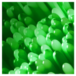 422703dab5dc680ab908e51ec01ed8d5