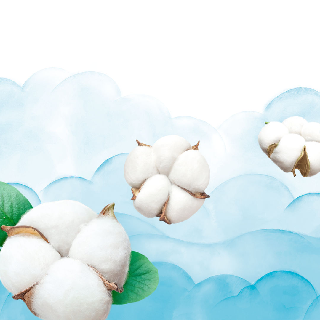 0c59c254f6b3c52918f7657d05332e70