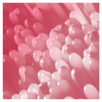 eb58e08d0944745d024696a833a5e6c0