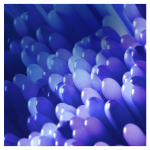 1aa071d566dacda92a73b0d55341f41e