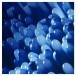 b45a7b7848ec1550feb6ff3142fa5ebe