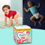 782c0853541482a613738f1a22bb32a7