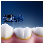 e832cff44534e9477588a66a9f3c32e6